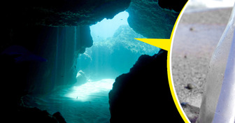 Scientists Reached the Bottom of the Ocean—And Their Discovery Changes Everything