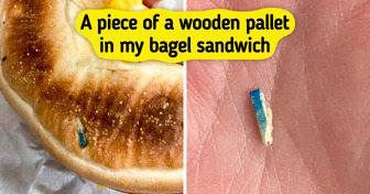 15 Hilarious Times People Ignored ‘We Have Food at Home’ and Totally Regretted It