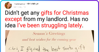 15+ People Whose Main Duty Is to Bring Christmas Cheer