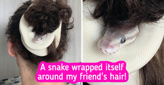 15 People Whose Bright Day Turned Into a Pure Nightmare