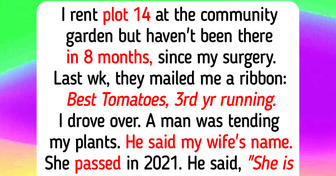 15 Gardening Hobby Stories Where Compassion Answers Loneliness: Community Garden Plot 14, a Grandmother’s Trowel Wisdom, and a Preschooler’s Magic Tomatoes