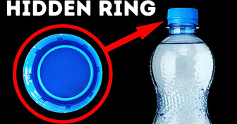 16 Hidden Purposes on Objects Aren’t As Simple As They Seem