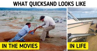 What 20 Things Look Like in Real Life, That We Only Know From Action Movies