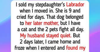 I Refuse to Keep My Stepdaughter’s Late Mother’s Dog — This Is My House Now