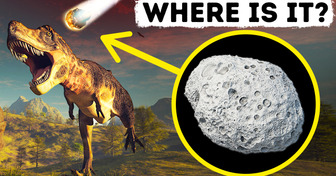 What Happened to Asteroid After It Wiped Out Dinosaurs