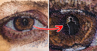 Artist Breathes Life Into Pieces of Wood by Just Adding Thread and Nails