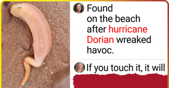 17 Shocking Beach Finds That May Want You to Rethink Your Vacation Plans