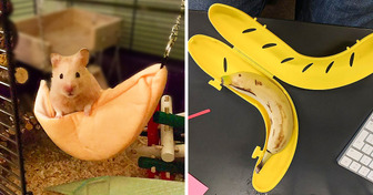 15 Banana-Themed Items From Amazon