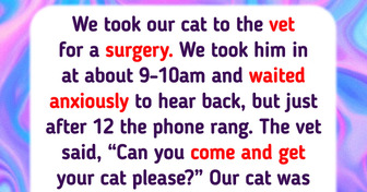 13 Dramatic Pets Whose Vet Visits Could Be Turned Into a Movie