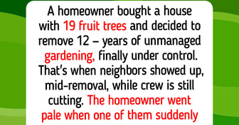 Who Actually Owns the Fruit Hanging Over Your Fence: Homeowner Cut Down 12 Fruit Trees and Neighbors Objected