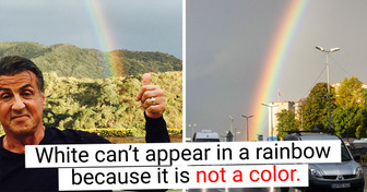 Why Rainbows Can’t Ever Include Black, White or Gray