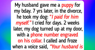12 Real Animal Shelter Moments Where Cats and Dogs Teach People to Still Choose Compassion and Kindness