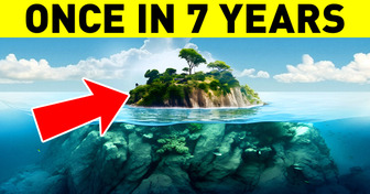 This Island Is Visible Every 7 Years but Still Cannot Be Reached