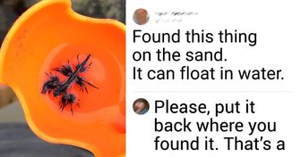 17 Times People Unexpectedly Witnessed a Tiny Miracle