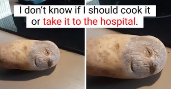 15+ Sneaky Things That Made Us Think They Were Something Else