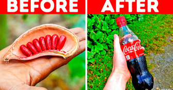 20 Everyday Items That Rely on Unexpected Ingredients