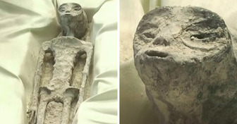 Unearthly Discovery: Mexican Authorities Reveal Two Enigmatic Beings at Public Hearing
