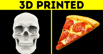 From Human Tissue to Edible Pizza: 3D Printed Things