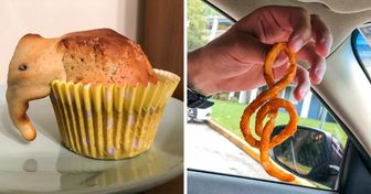 15 Times Things Only Pretended to Be Plain and Normal