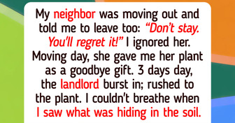 12 Moments That Prove There Is Still Compassion Left in Humans Even When the Heart Hurts