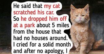 My Cat Scratched My Fiancé’s Car, After Seeing How He Reacted I Had to Do Something