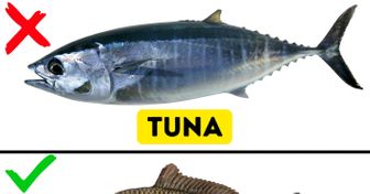 9 Kinds of Fish You Shouldn’t Eat