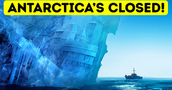 Why We Are Not Allowed to Visit Antarctica