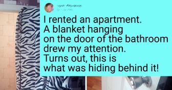 16 Rented Apartments That Turned Out to Be Full of Surprises
