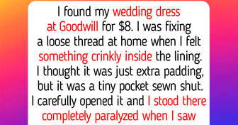 12 Moments That Prove Kindness and Wisdom Are the Quiet Guides That Lift Heavy Hearts