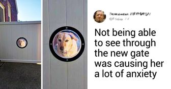 20+ Pets Whose Owners Will Do Anything for Them