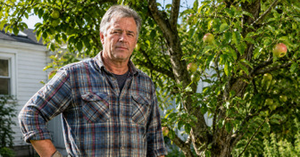 Homeowner Cut Down 12 Fruit Trees and Neighbors Objected — Here’s Who Actually Owns the Fruit Hanging Over Your Fence