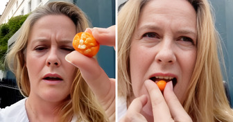 Alicia Silverstone Updates Fans After Tasting Poisonous Fruit From the Street