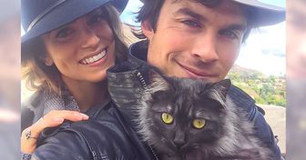 10 Kind-Hearted Celebrities Who Adopted Their Pets