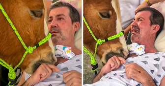 A Man Left Literally in Tears After the Horse Came to Support Him