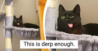 20 Pets Who Know Exactly How to Soften Any Stone-Hearted People