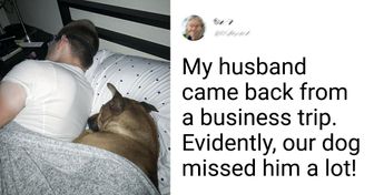 15 Stories of True Harmony Between People and Their Pets