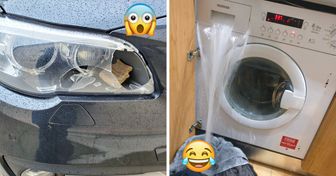 21 People Whose Day Went So Completely Wrong They Had to Laugh About It