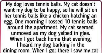 17 Stories About Pets Who Surprised Their Owners With Their Developed Intellect
