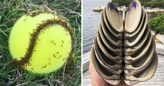 18 Pics That Show the World Is Full of Special Things, and You Can Find Them Everywhere