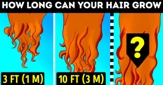 Each Person Has a Maximum Hair Length and 26 Cool Hair Facts