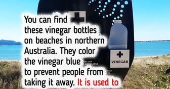 15 Stories From Around the World That Can Make You Say: “What a Twist!”