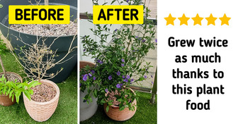 9 Best-Selling Plant Items That Will Make Everyone Love Growing Flowers