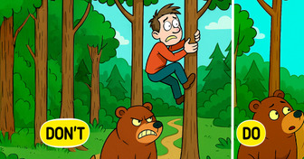 12 Actions That May Help Save Your Life During Bear Encounters
