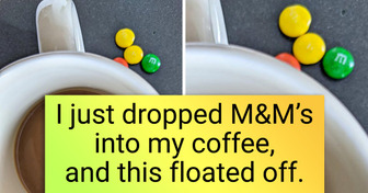 15 Mishaps That People Are Unlikely to Forget
