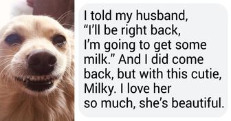 16 Bright Side Users Told Us How They Crossed Paths With Their Pets