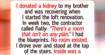 11 Renovation Moments So Absurd They Could Be a Sitcom Episode