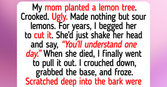 11 Moments That Teach Us Pure Compassion Heals What Selfishness Breaks