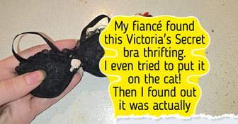 20+ Thrift Store Finds That Prove the Best Discoveries Happen When You Least Expect Them