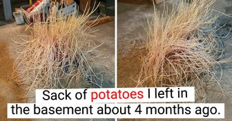 20+ Pics That Show What Happens to Things When We Forget About Them