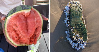18 Photos That Show Nature Always Has Something Astonishing in Store for You